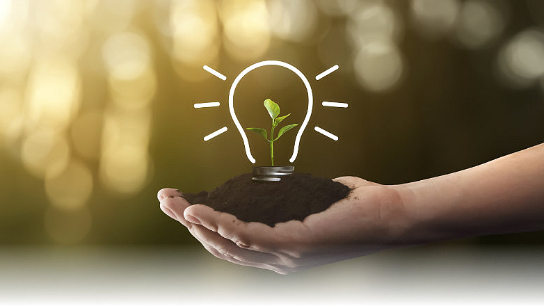 Wir setzen auf Nachhaltigkeit und Verantwortung für unsere Mitarbeitenden. Eine Idee wächst als Pflanze aus einer Hand voll Erde.